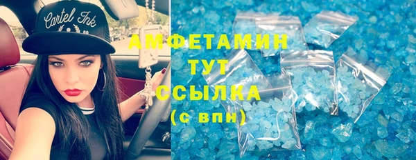гидра Анжеро-Судженск