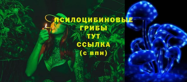 амф Надым