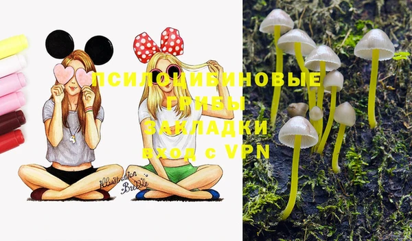 прущая мука Наволоки