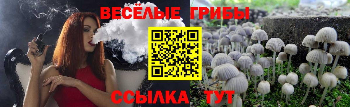 Галлюциногенные грибы Psilocybine cubensis  Вход с VPN  Биробиджан 