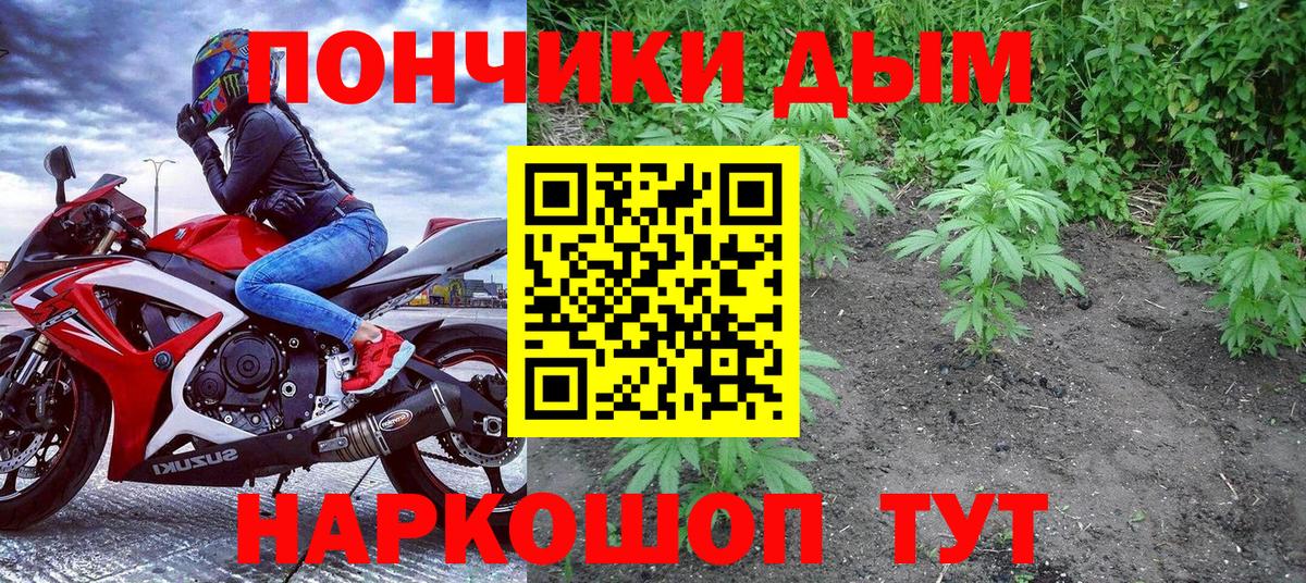 Марихуана марихуана Биробиджан